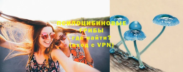 гидропоника Зерноград