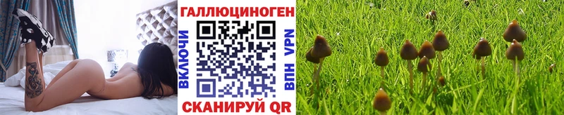 Галлюциногенные грибы Magic Shrooms как найти закладки Заозёрный